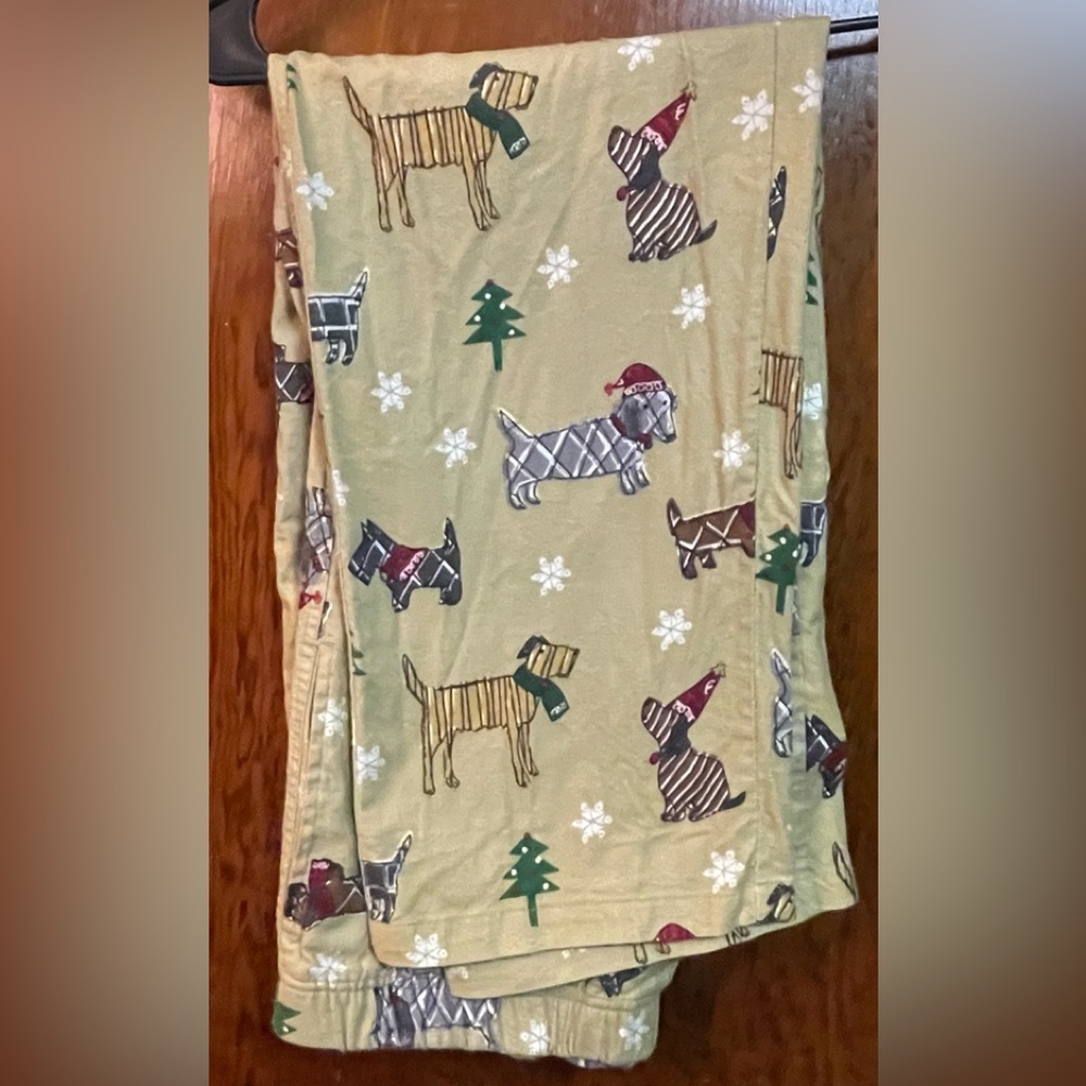 EC The Company Store kid’s PJ set